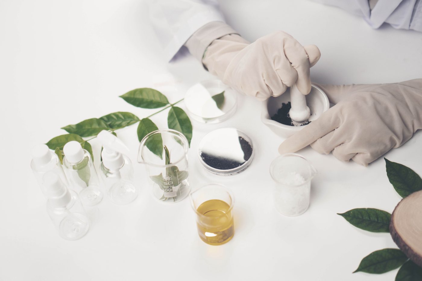 Gloved hands preparing botanical samples